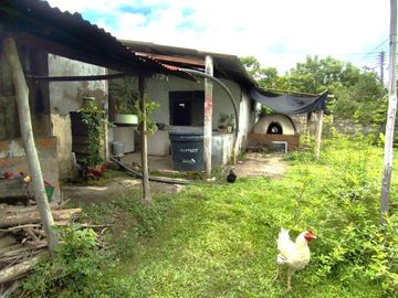 place photo 34