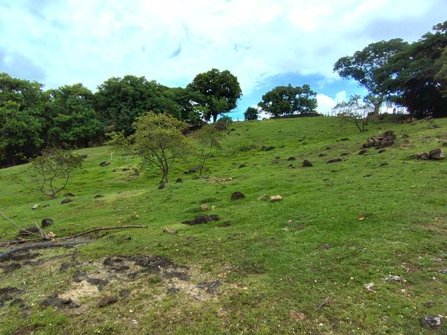 place photo 41