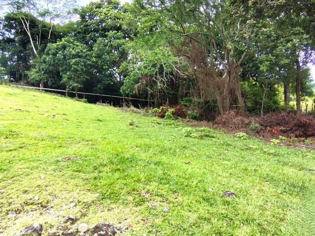 place photo 42