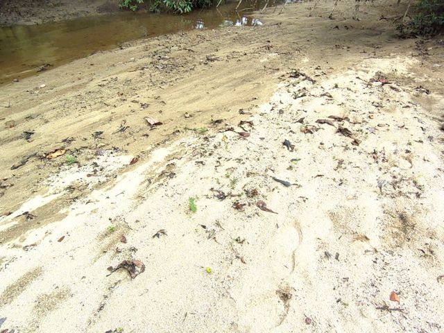 place photo 45