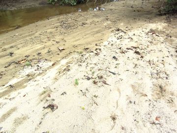 place photo 45