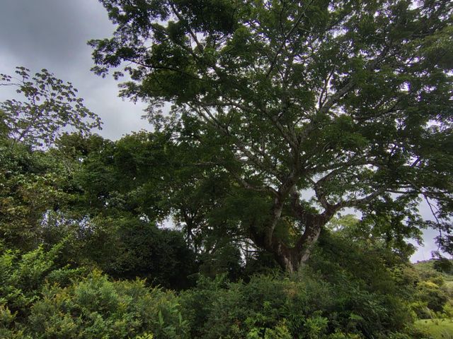 place photo 50