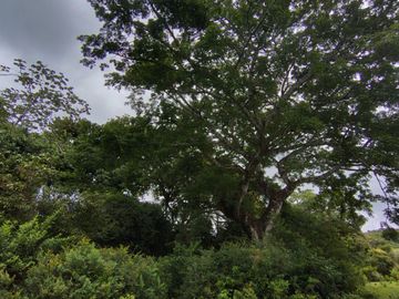 place photo 50