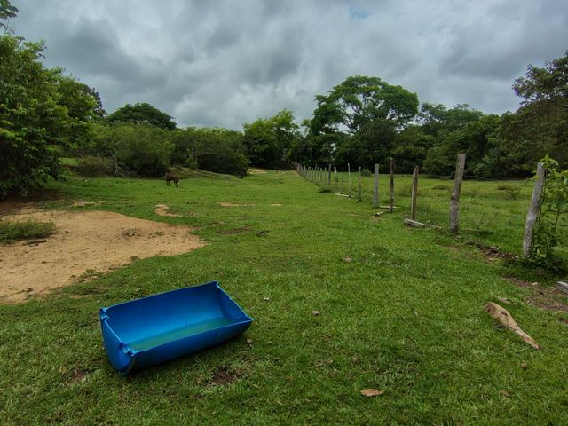 place photo 51