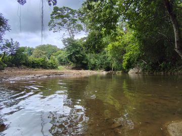 place photo 61