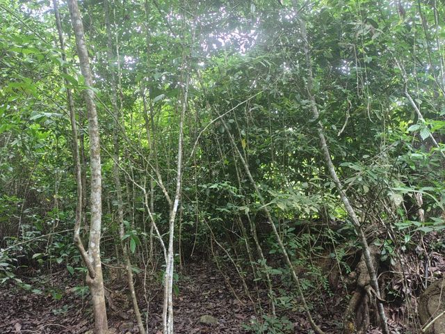 place photo 64