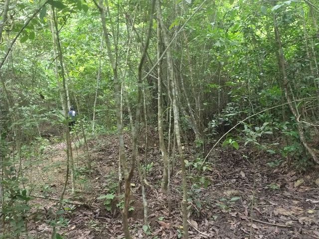 place photo 65