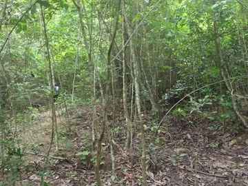 place photo 65