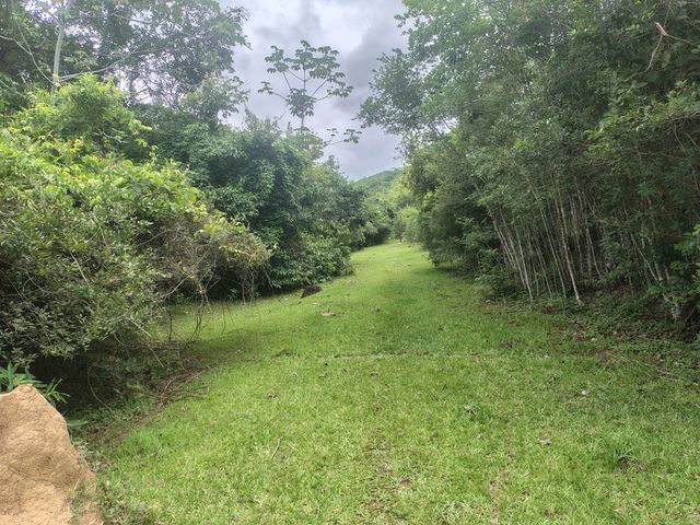 place photo 75