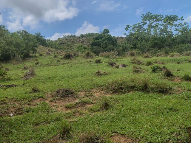place photo 80