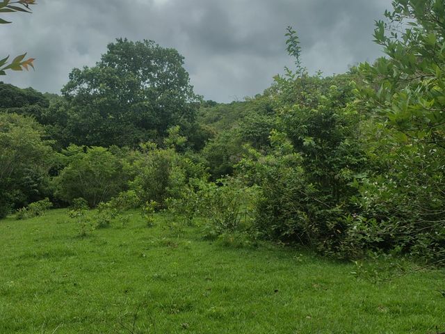 place photo 85