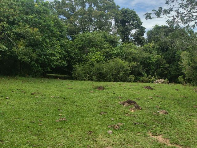 place photo 86