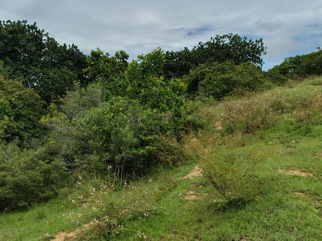 place photo 97
