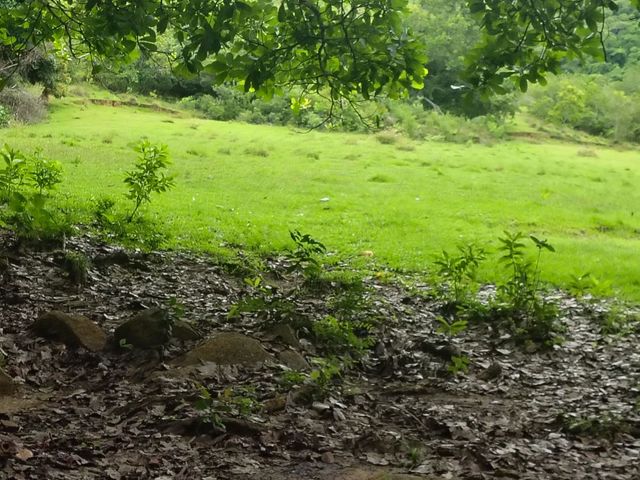 place photo 89
