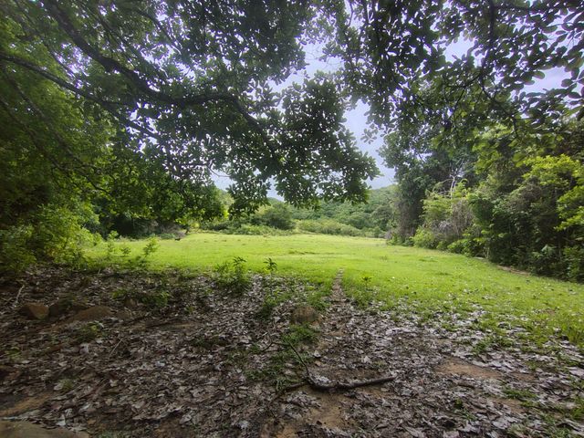 place photo 90