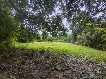 place photo 90
