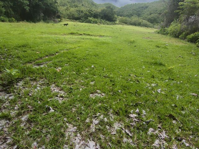 place photo 91