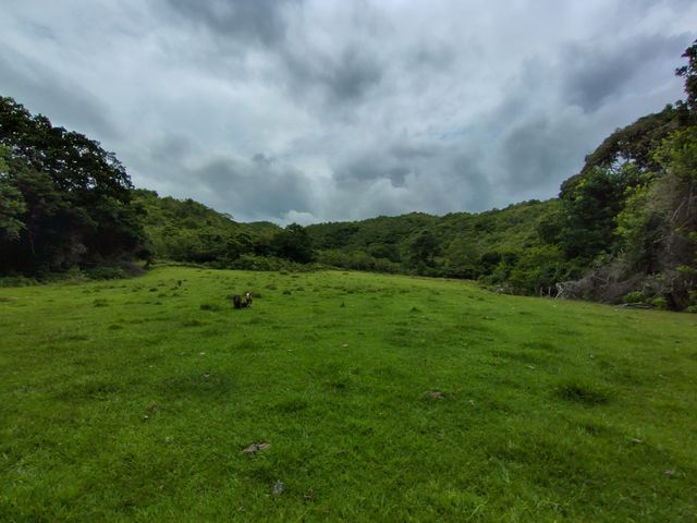 place photo 92