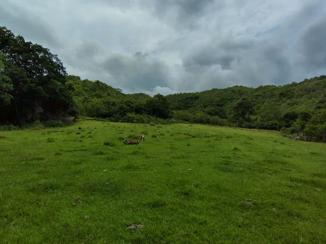 place photo 93