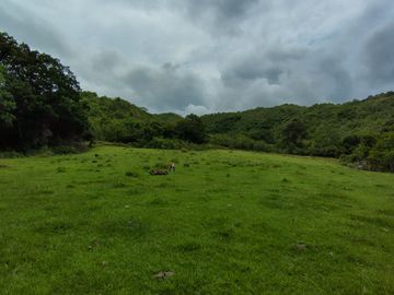 place photo 93