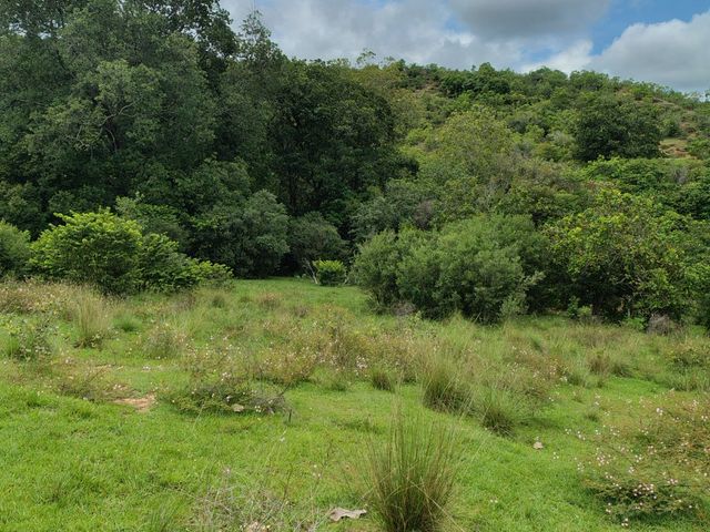 place photo 95