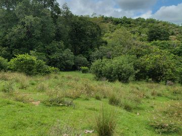 place photo 95