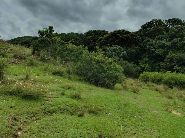 place photo 96