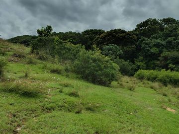 place photo 96