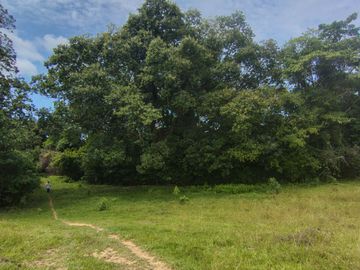 place photo 110