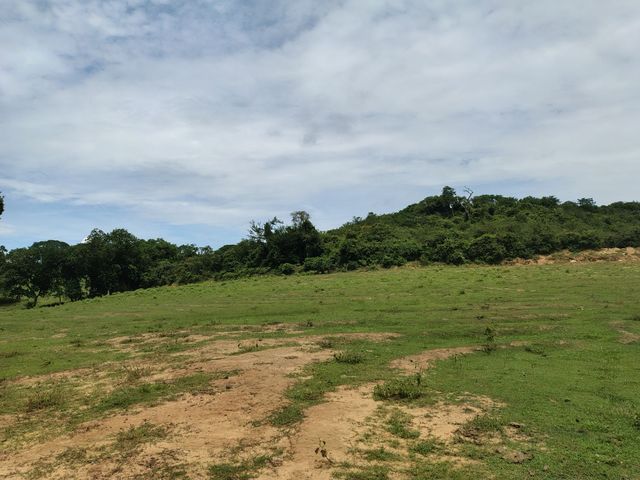 place photo 121