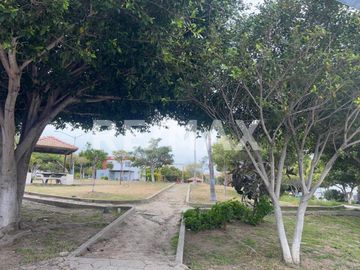 place photo 15