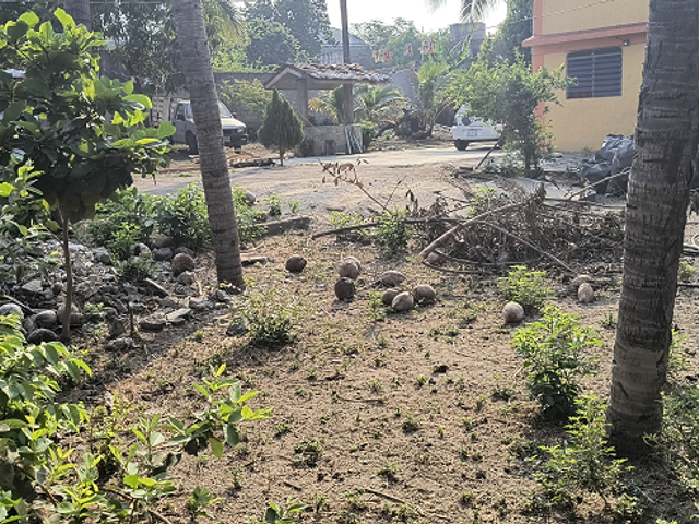 place photo 19