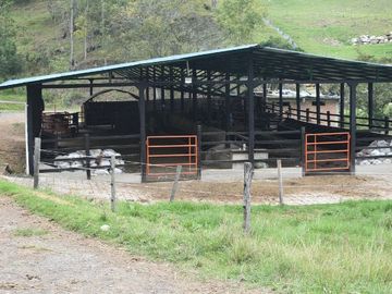 place photo 23