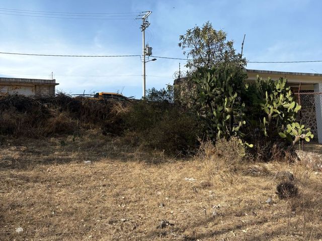 place photo 14