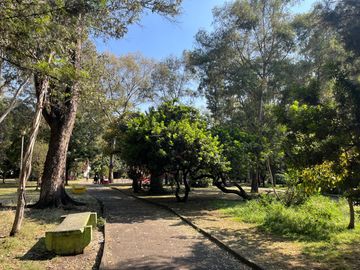 place photo 40
