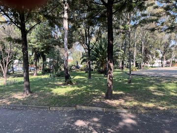 place photo 42