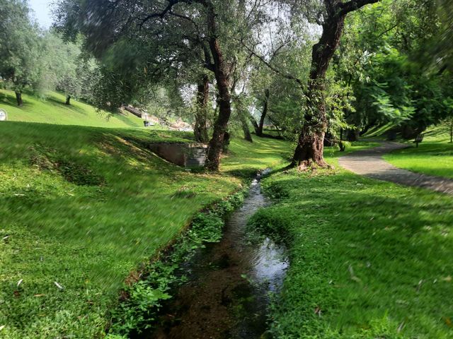 place photo 37