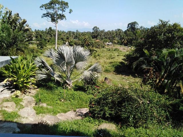 place photo 22