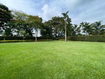 place photo 44