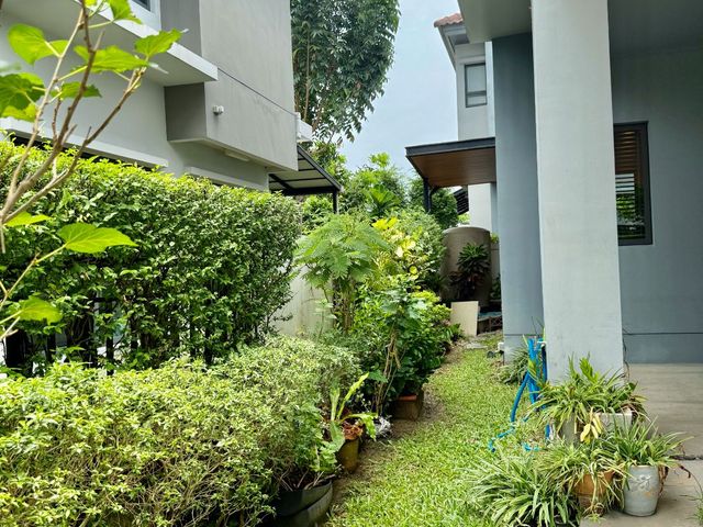 place photo 57