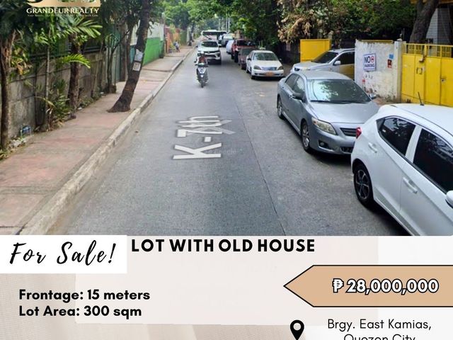 FOR SALE Lot with an Old house located at Brgy. East Kamias, Quezon City