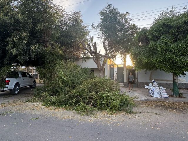 place photo 19