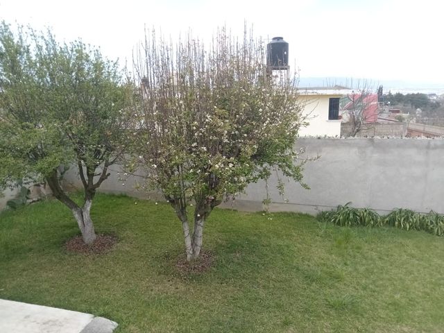 place photo 52