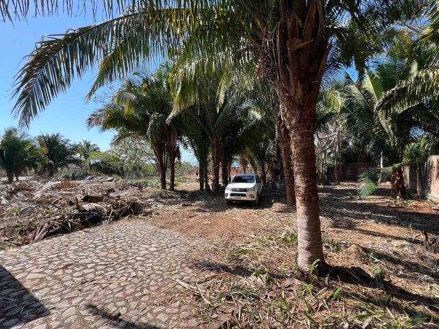 place photo 11