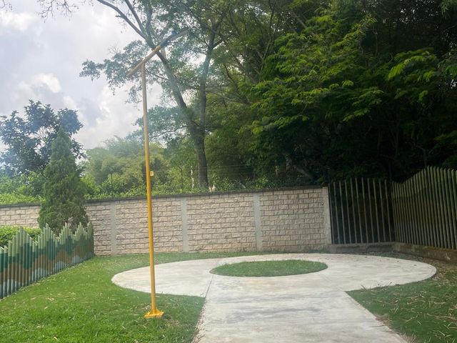place photo 37