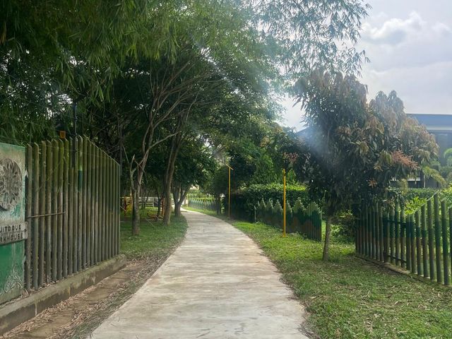 place photo 53