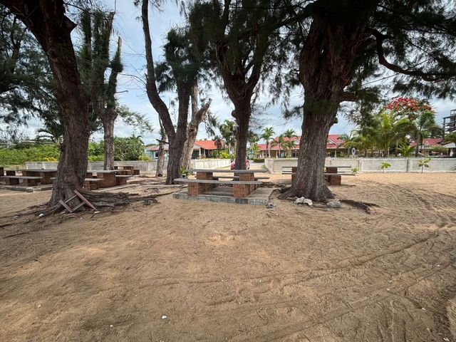 place photo 37