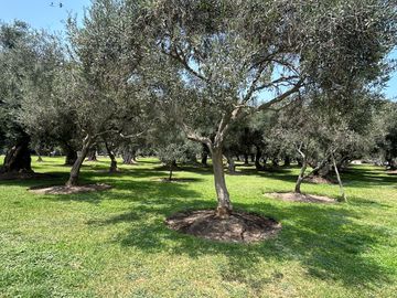 place photo 29