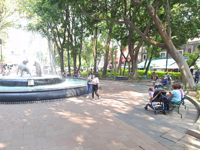 place photo 4