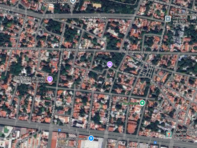 place photo 6